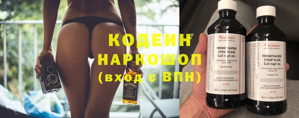 хмурый Арсеньев