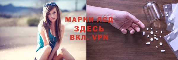 сатива Армянск
