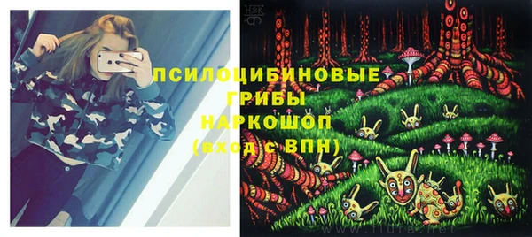 хмурый Арсеньев