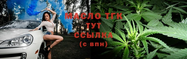 сатива Армянск
