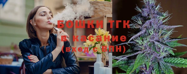 хмурый Арсеньев