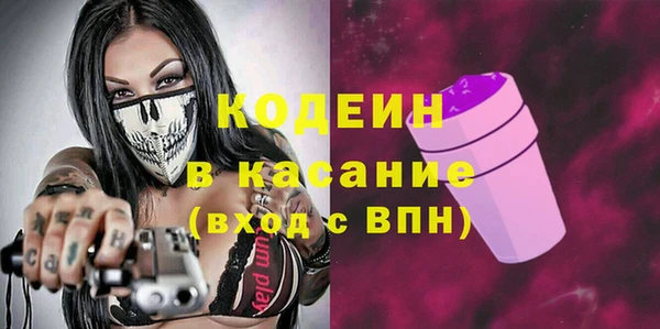 хмурый Арсеньев