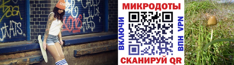 Псилоцибиновые грибы мухоморы  наркошоп  ссылка на мегу ТОР  Чернушка 