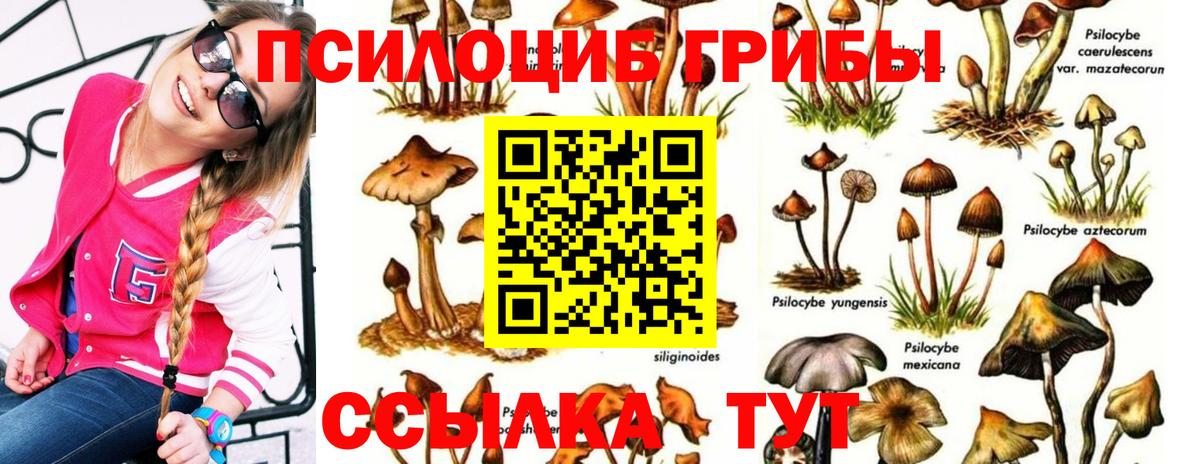 Псилоцибиновые грибы Magic Shrooms  Вход с VPN  Чернушка 